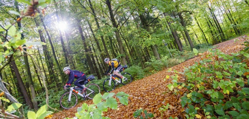 Fall is in full force, perfect for a Gravel ride.