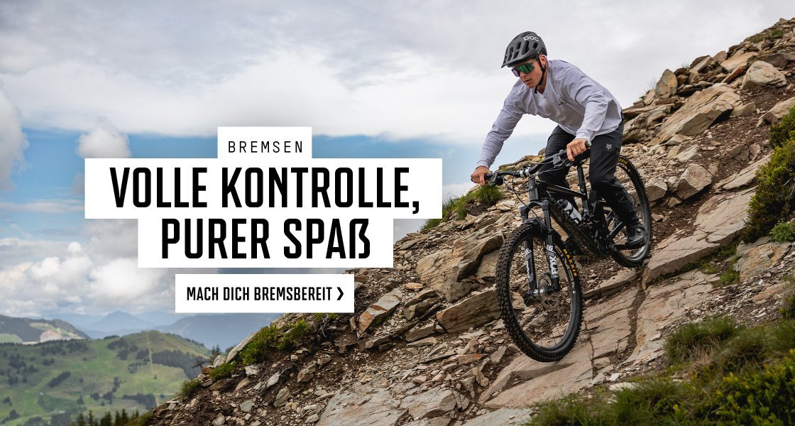 ttir > bremsen | 2026 | de