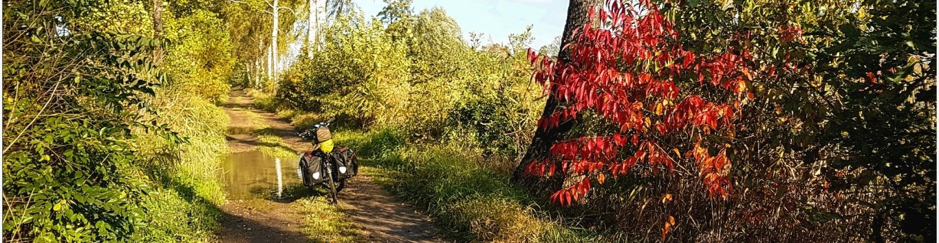 Waldweg mit Bike.jpg