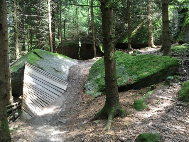 Sehr schöner Alieger auf dem Alpirsbacher Flowtrail.