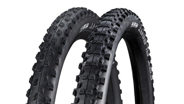 Schwalbe-Fat-Albert-Evolution-SnakeSkin-TrailStar-6b1d7a3e6138a527ba3b3a081b35b16d.jpeg