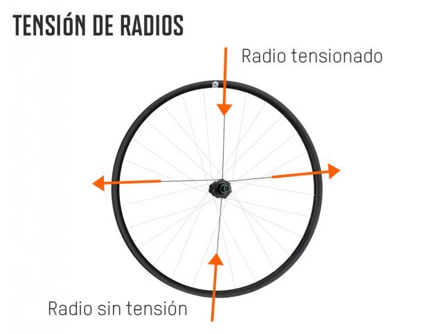 Infografik_Speichenbelastung_ES.jpg