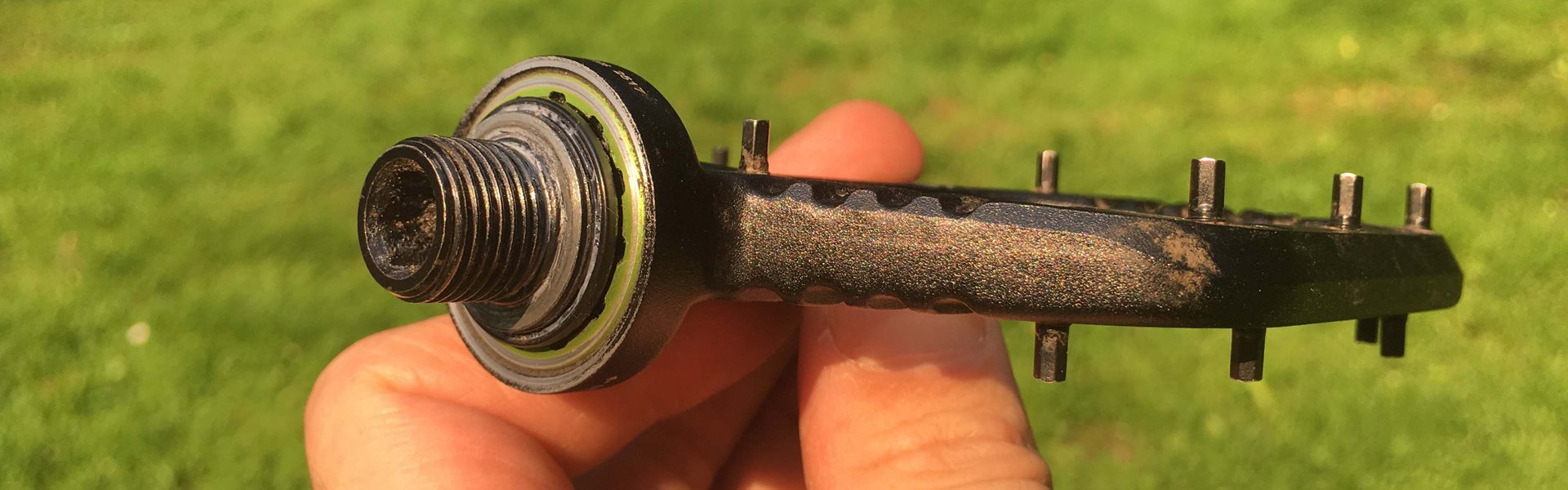 The flat pedal body contrasts with the huge bearings.