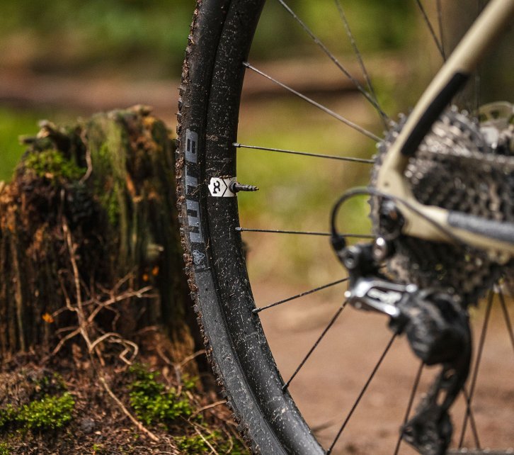 Abgebildet ist das Hinterrad eines bc original Flint Gravelbikes. Auf dem Laufrad ist ein Gravel-Reifen von WTB aufgezogen.