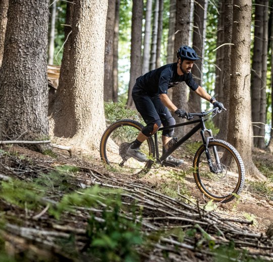 A mountain biker rides down a trail in a forest on a bc original Podsol.