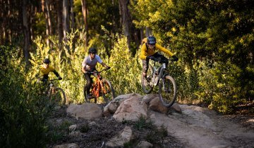 Christoph, Georg y Rainer de bc montando en bicicletas de montaña. El terreno es pedregoso.