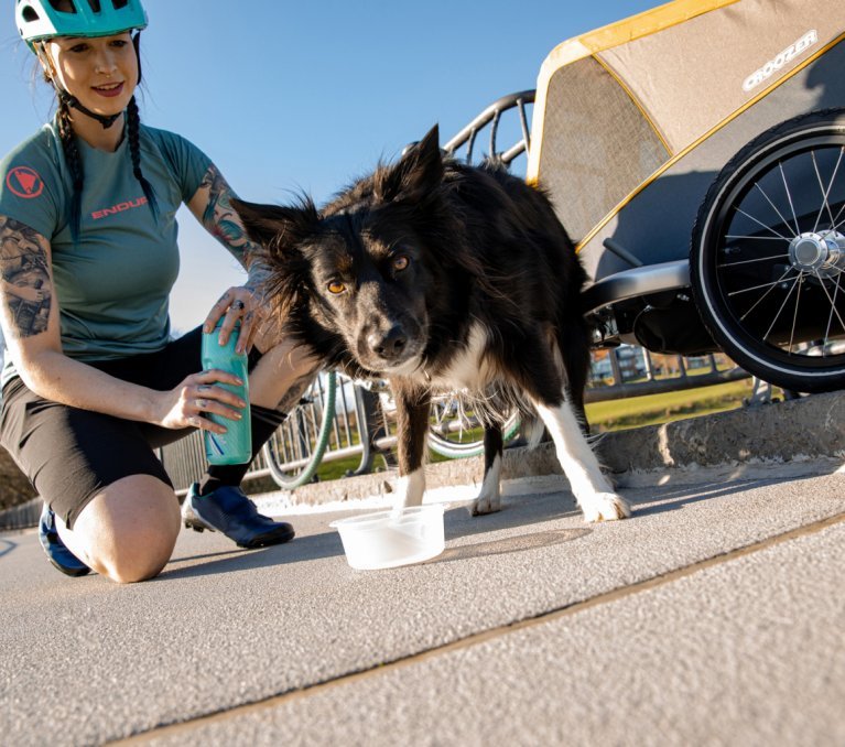 Croozer_Dog_Peppa_Hundeanhaenger_Fahrrad_Testbericht_Header_mobil.jpg