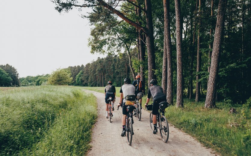 Cuatro ciclistas en bicis Gravel en un camino de gravilla al borde de un bosque. 