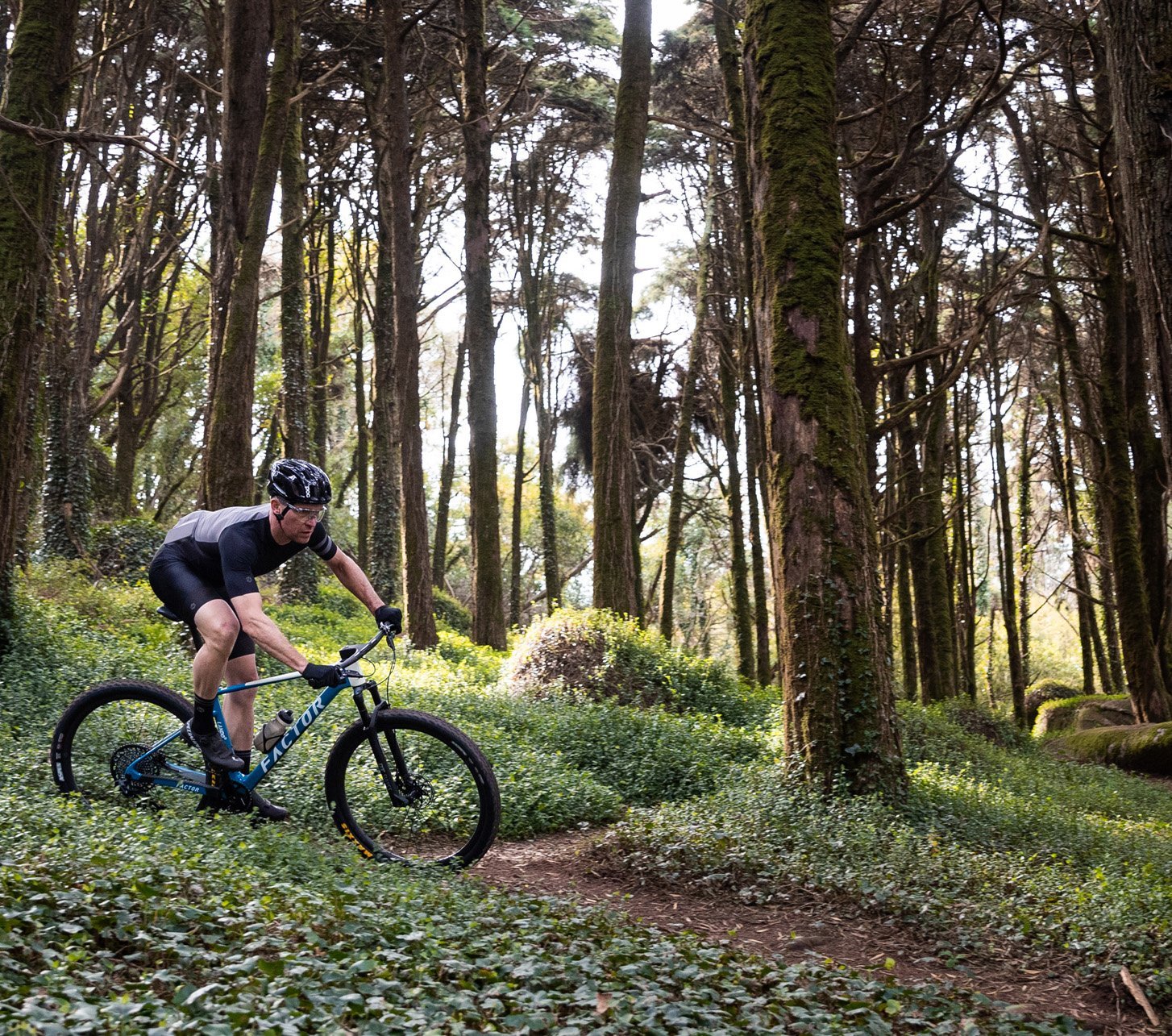 Factor Hardtail Mountainbike im Wald Mobile Header