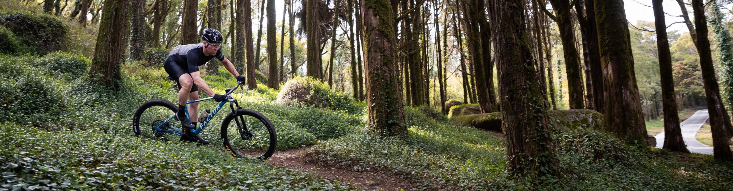 Hardtail_Desktop_3840x1000.jpg