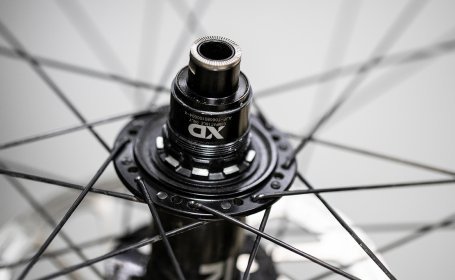 Shown here is a SRAM-XD freehub. 