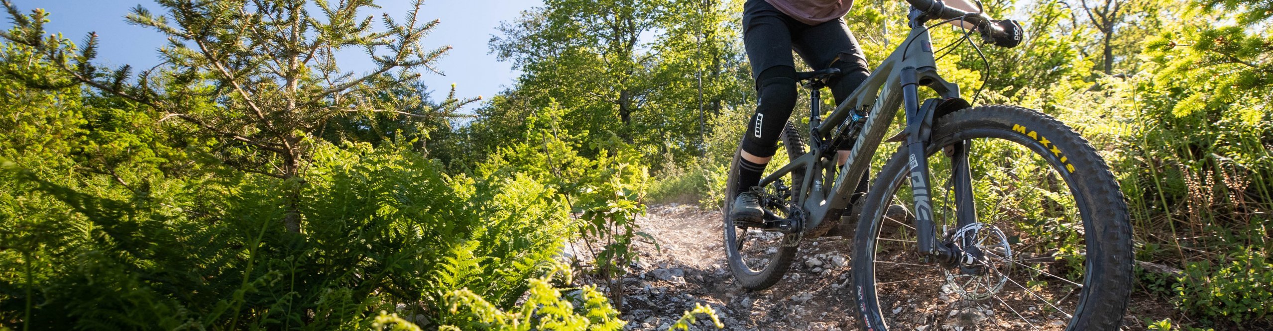 MTB im Wald mit 27,5" Federgabel