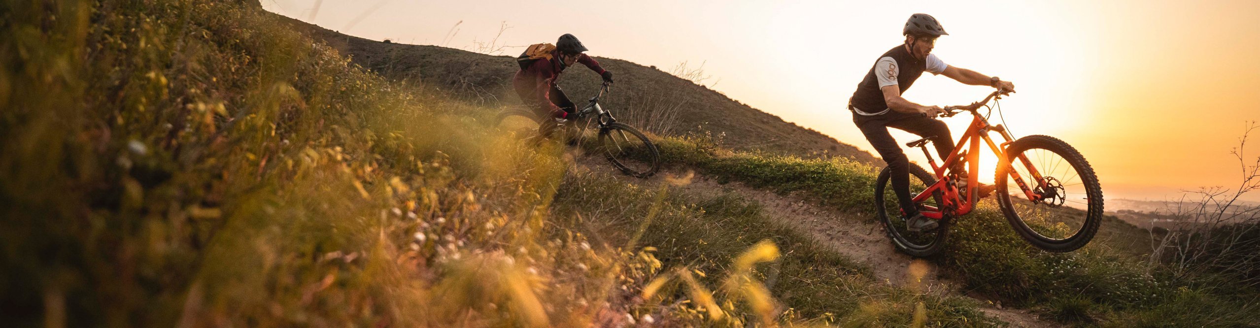 MTB_Desktop_3840x1000.jpg