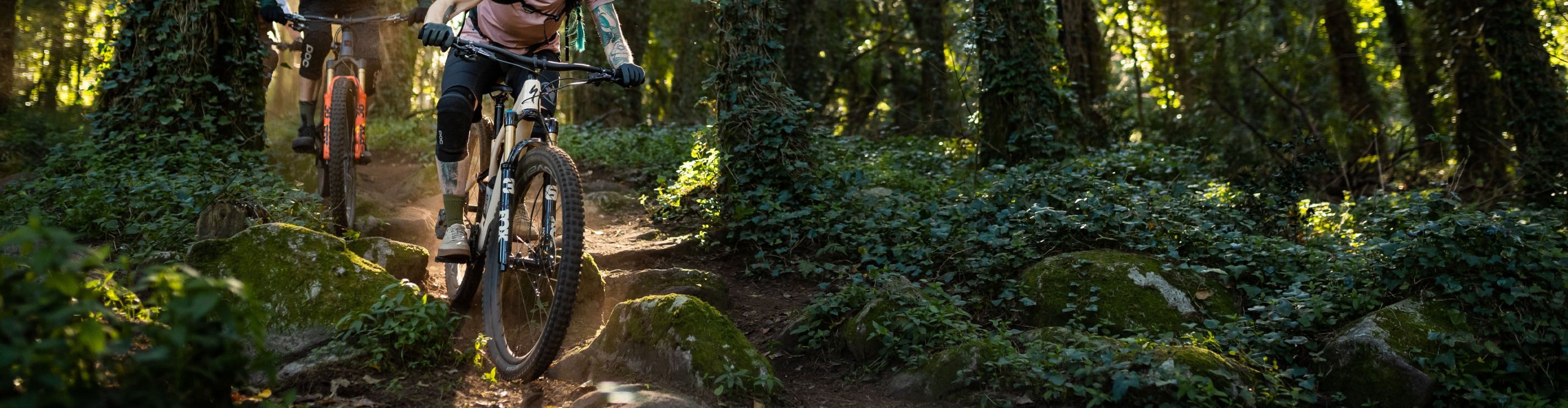 Mountainbiker mit 29" Federgabeln im Wald