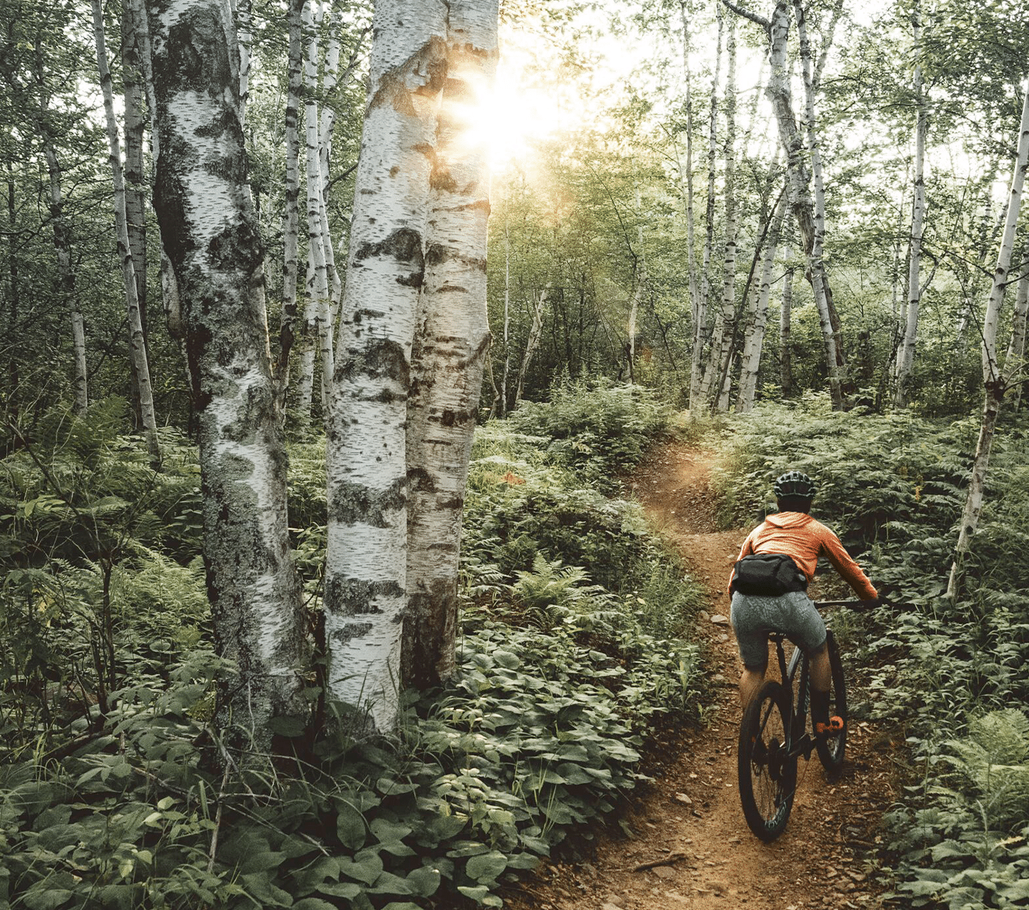 patagonia mtb clothing