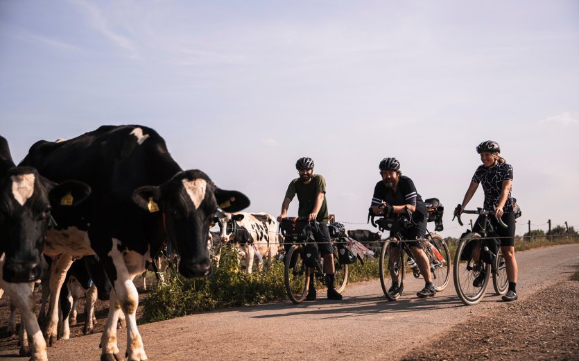 Pura desaceleración: con el Bikepacking, el viaje es la meta.