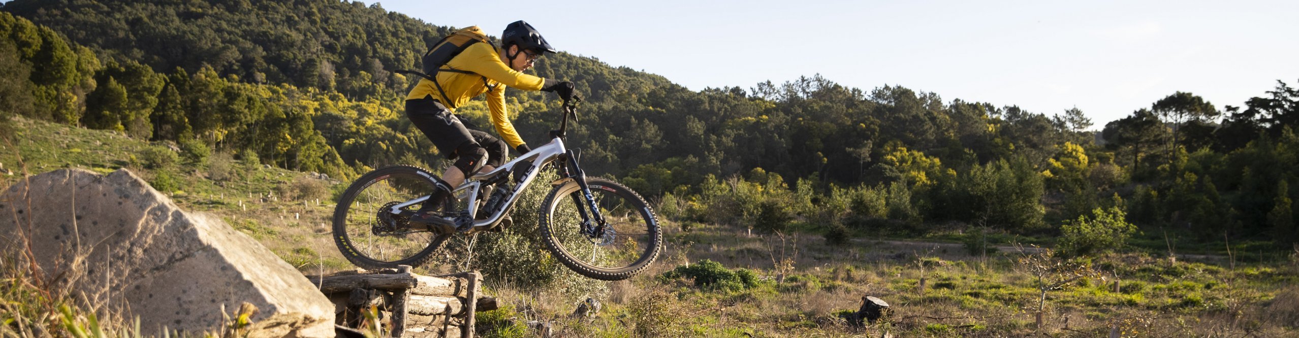 Springendes Fully Mountainbike Desktop Header