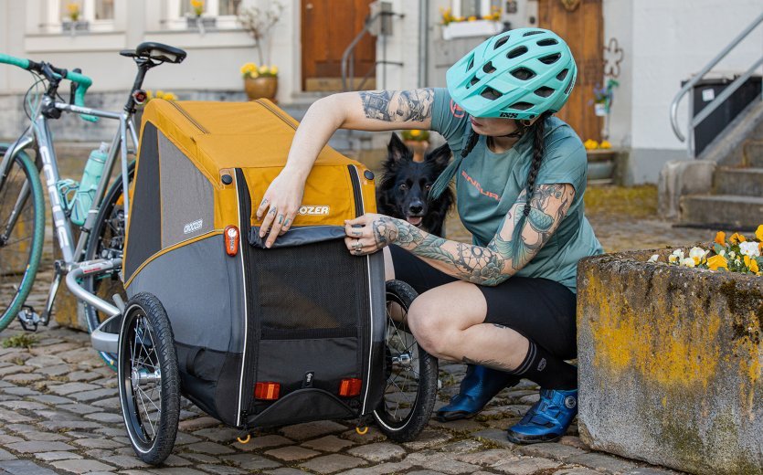 The Croozer dog trailer impresses with its solid construction and clever details.