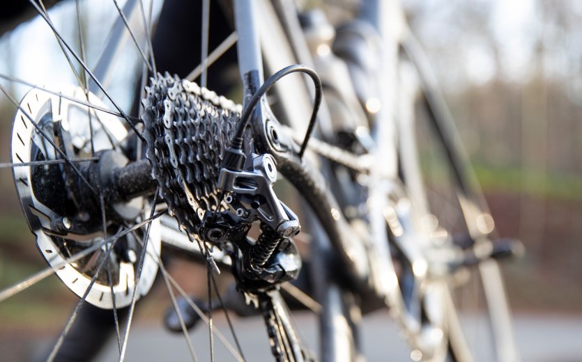 Un elemento central de la bicicleta: la rueda libre no es nada vistosa.