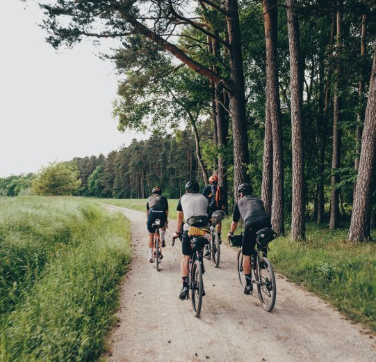 Vier Gravelbiker auf einem Schotterweg an einem Waldrand. 