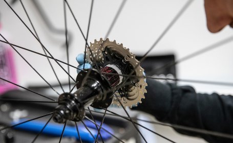 A new cassette is slid onto a greased freehub. You look through the spokes at the freehub. 