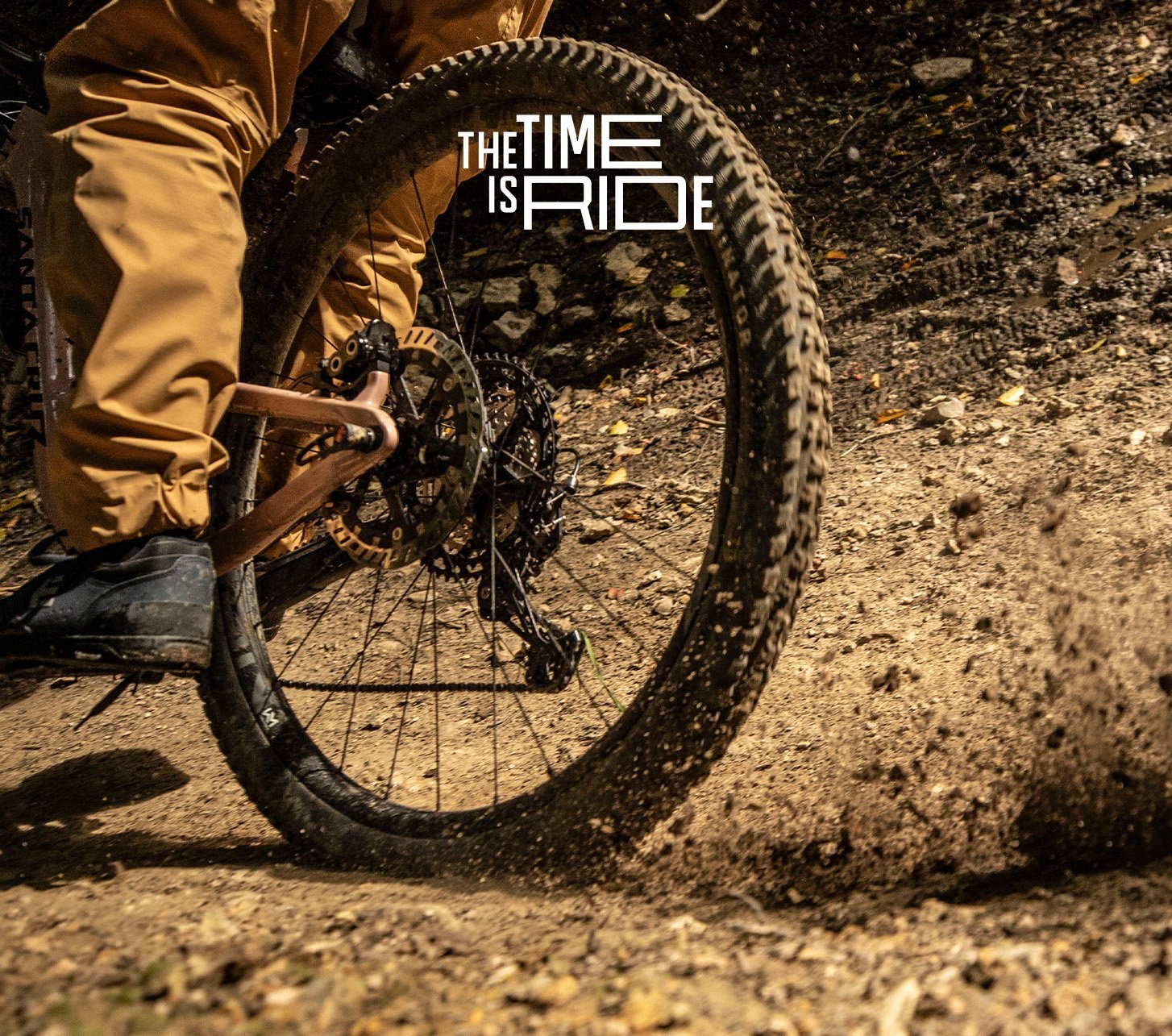 buy bicycle tyres online