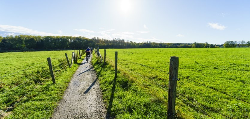 Der erste Trail der bc XPDTN3 Tour macht Lust auf mehr.