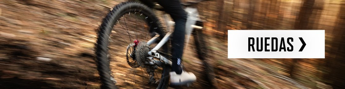 botb > laufräder | 2026