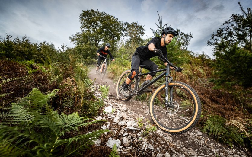 ...oder bergab: Für mehr Kraft und mehr Kontrolle stehst Du beim Mountainbiken eher, statt im Sattel zu sitzen. 