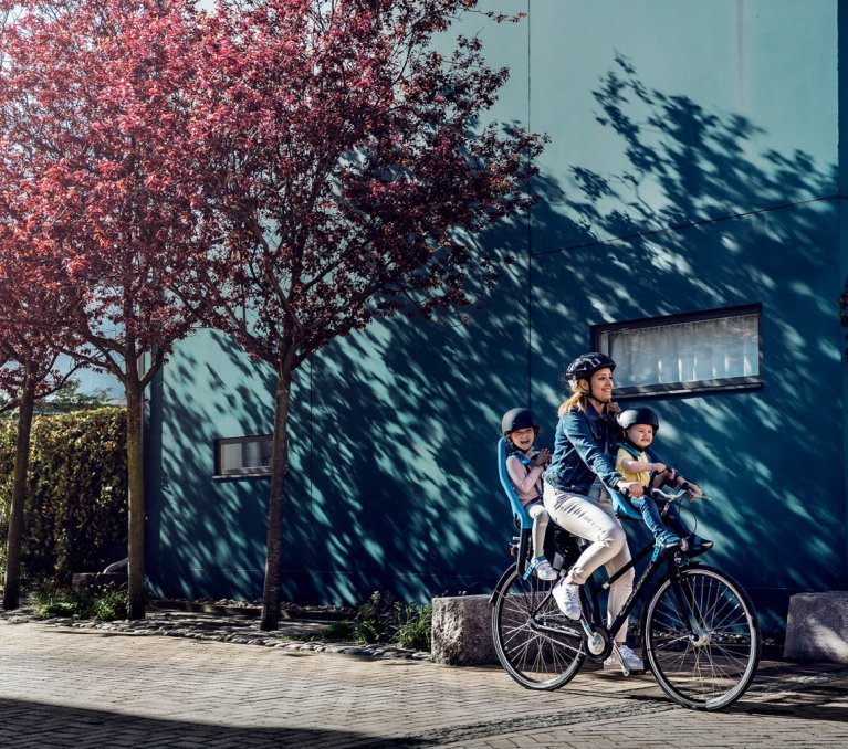 Silla Bici Niño Montaje Trasero - Segura Y Cómoda