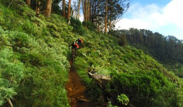 Teneriffa: Nuggets, Strand und Dulce Vida