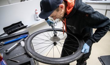 Thomas, mecánico de bc, apretando un cassette nuevo en la rueda libre con una llave de torsión.