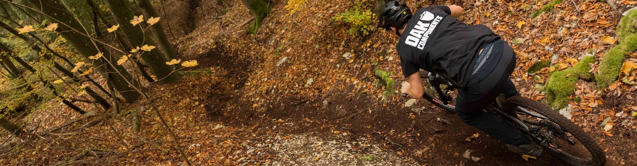 Mountainbiker fährt einen kurvigen Trail durch den Wald