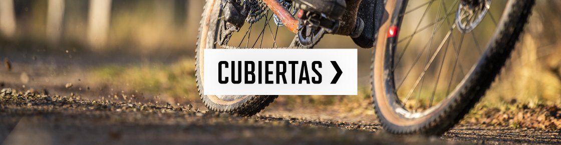 botb > reifen | 2026