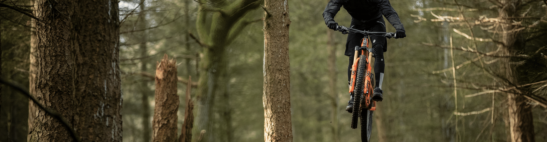 Bike Sprung Reifen Wald