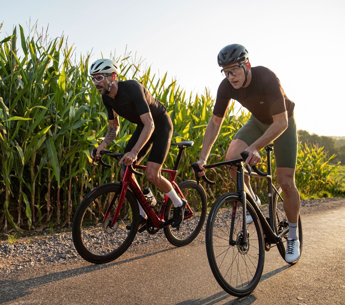 Zwei Rennradfahrer fahren im Wiegetritt in der Abendsonne