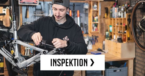 Bike Inspektion