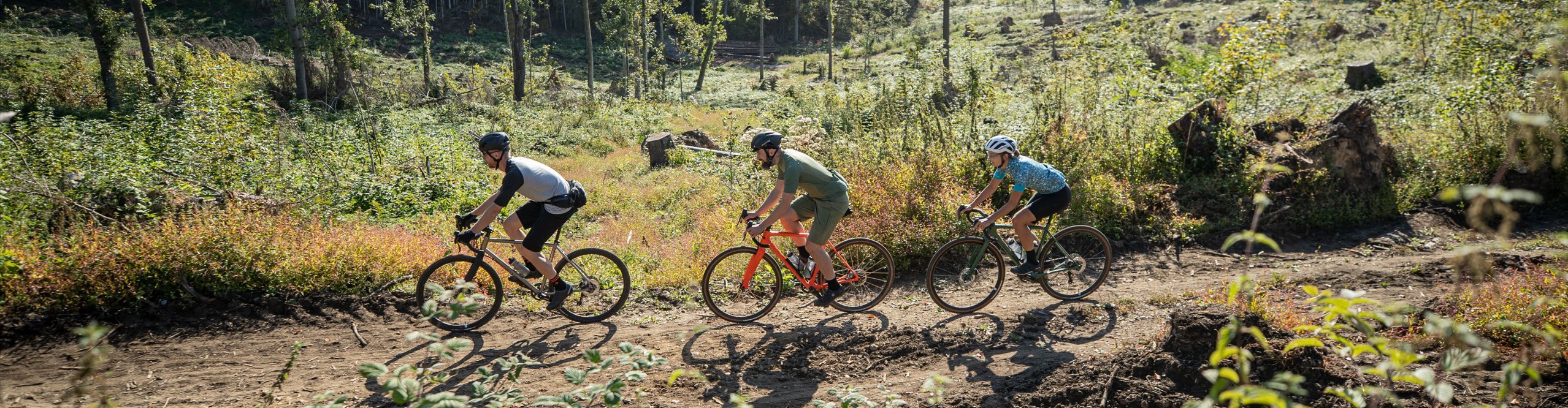 3 Gravelbiker im Sommer im Grünen