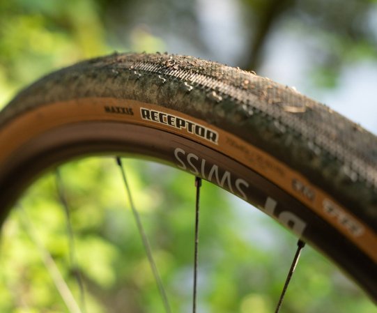 Gros plan d’un pneu gravel à flanc beige avec bande centrale à profil bas, marquage « Receptor » visible sur le flanc.