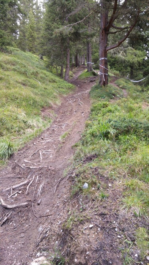 TrailTrophy Kronplatz 2016