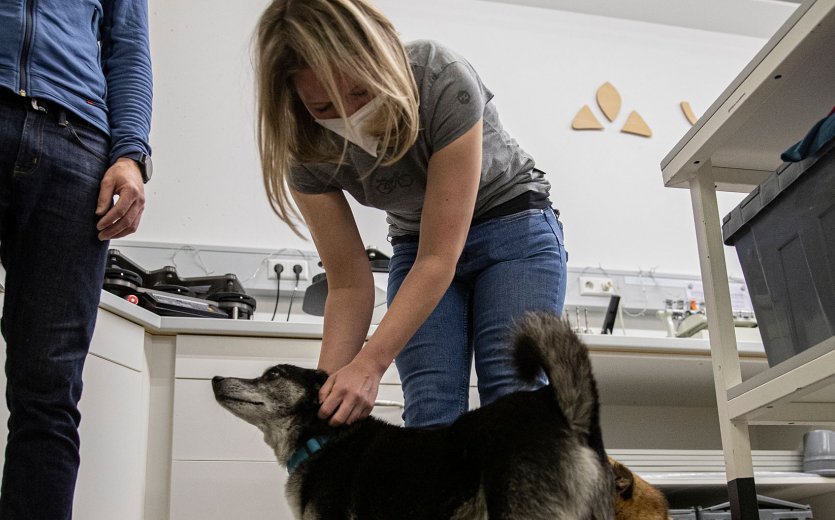 bc-Brandmanagerin Svenja streichelt einen Hund.