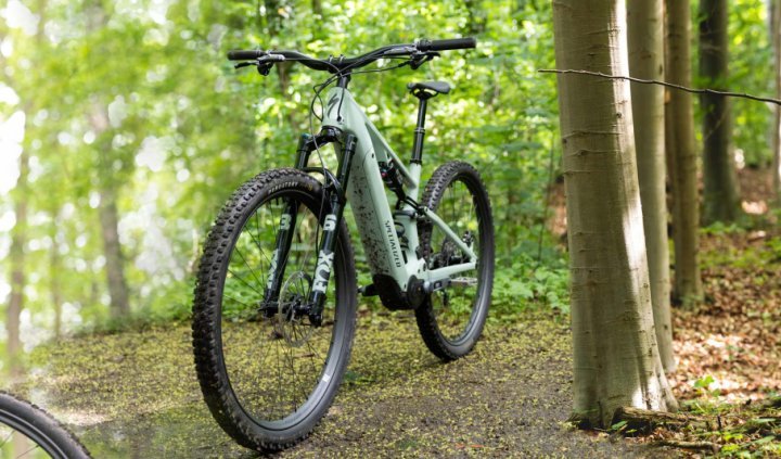 Collage de la Specialized Turbo Levo R en el bosque