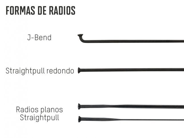 Infografik_Speichenformen_ES.jpg