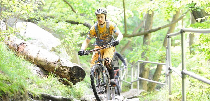 Viele steinige Trails im Harz