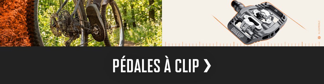 ttir > pedale | 2026