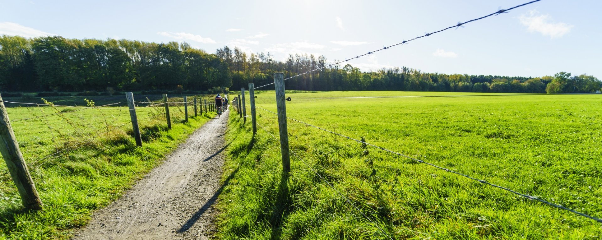 Perfekte Pfade zum Gravelbiken.