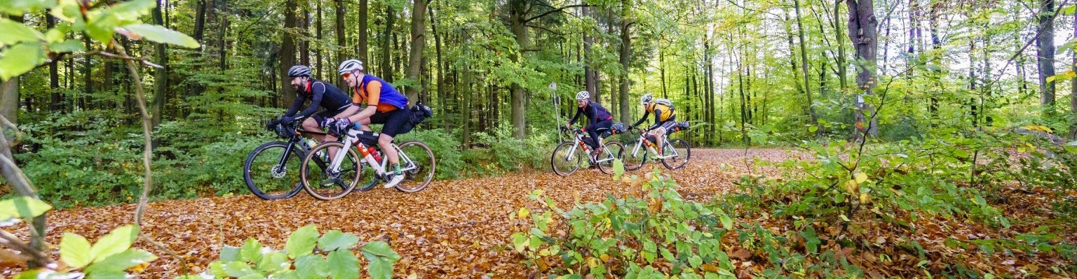 Herbststimmung im Wald.