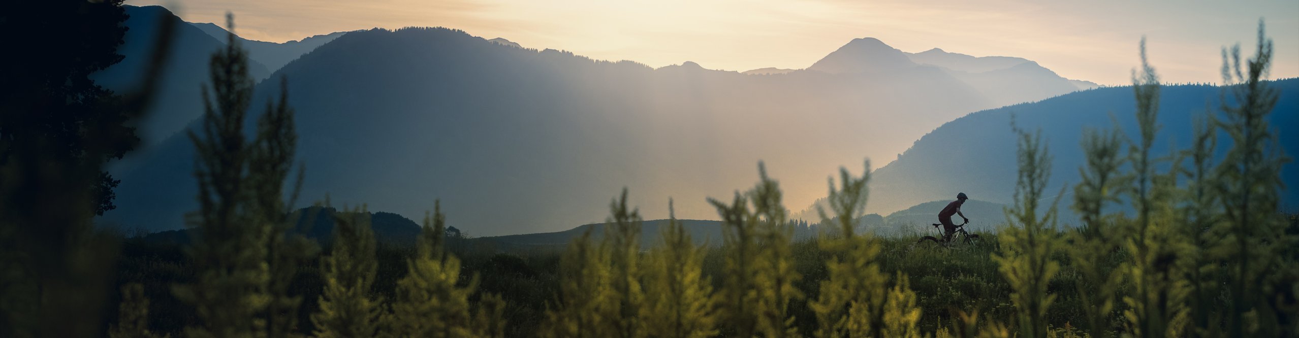 Mountainbiker auf Grad im Wald bei Sonnenuntergang