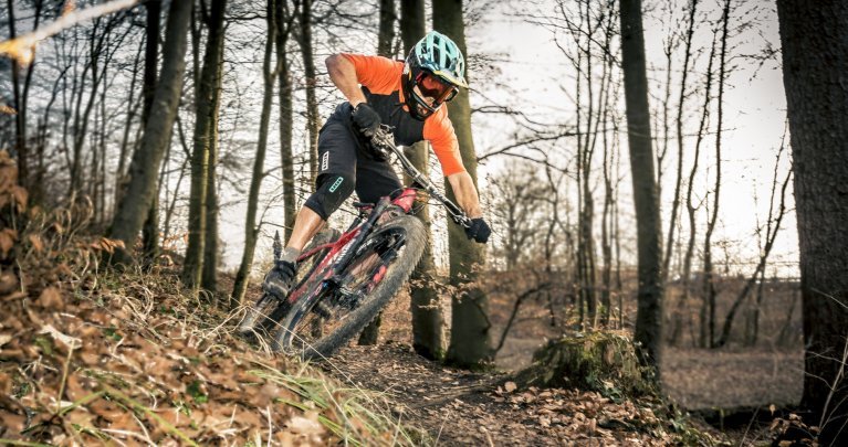 Mountainbike Kurve Wald Laub