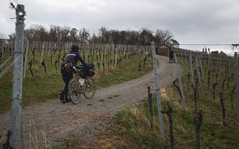 Christian schiebt den steilen Weinberg hinauf. 